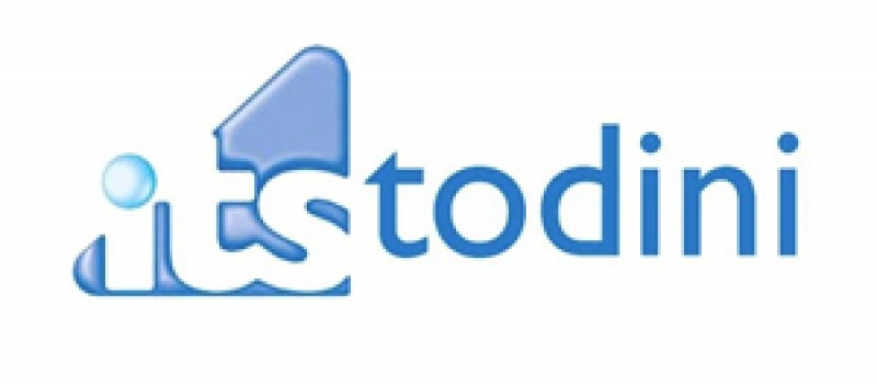 logo-itstodini